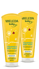 Calendula Shampoo & Body Wash x2
