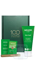 Skin Food Backstage Kit