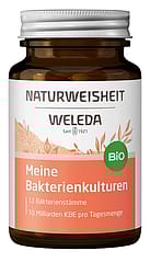 Meine Bakterienkulturen