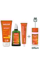 Routine complète sportive - Roller offert