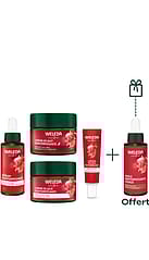 Routine Anti-âge Grenade et Peptides de Maca - Huile offerte