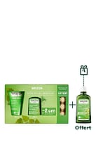 Coffret Minceur - Huile Offerte