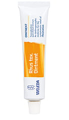 Rhus Tox. Ointment for Rheumatism
