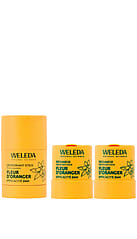 Routine Déodorant Stick Rechargeable Fleur d'Oranger