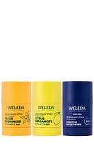 Trio Déodorants Sticks Rechargeables