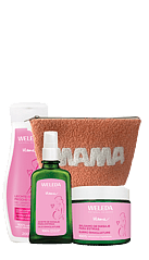 Routine Mamma
