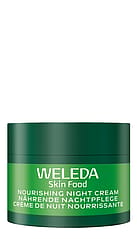Travel Skin Food Nourishing Night Cream