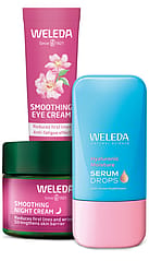 Hydrate + Plump Trio