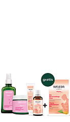 Mama Musthaves + gratis Bio Borstvoedingsthee