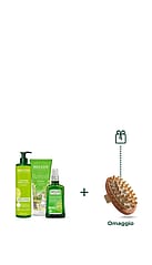 Kit Freschezza di Betulla
