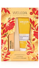 Coffret de Noël Everon