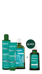 Rosmarin Haarpflege Set