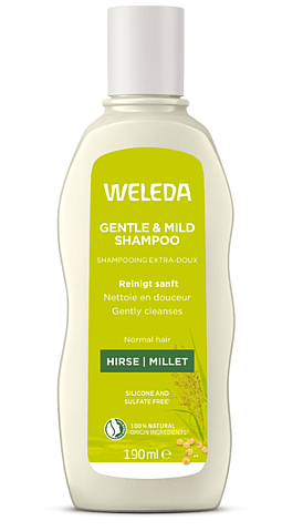 Shampooing Extra-Doux Millet