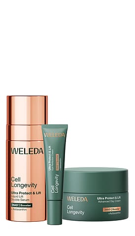 Cell Longevity Ultra Protect & Lift Day Routine