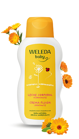 Leche Corporal de Caléndula