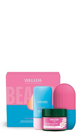 Geschenkset Glättende Tagespflege Wildrose & Hyaluronic Serum Drops