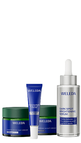 Collagen Boost Day & Night Routine