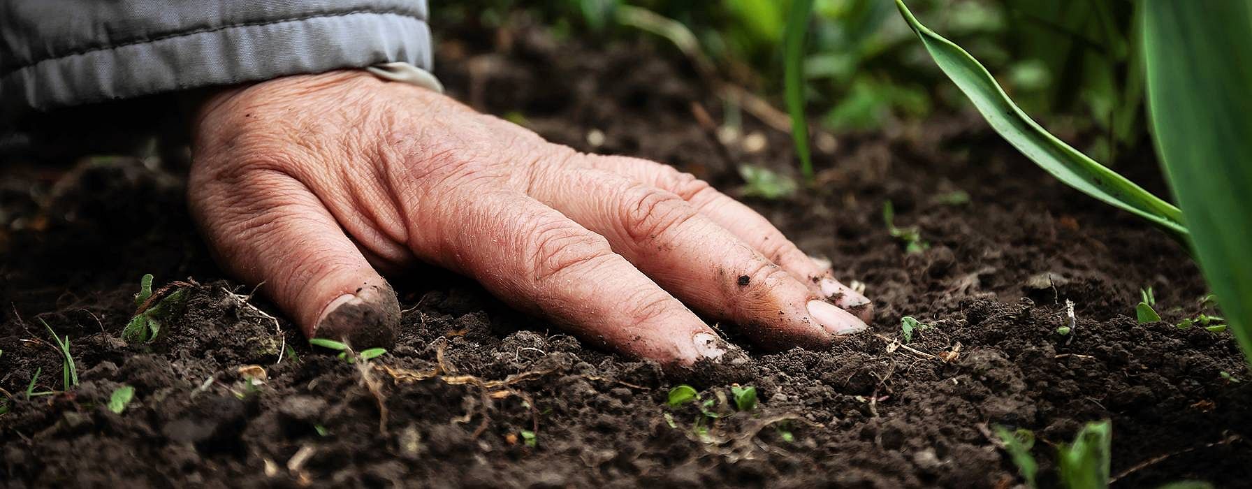 Ausgestrecke Hand auf Erde