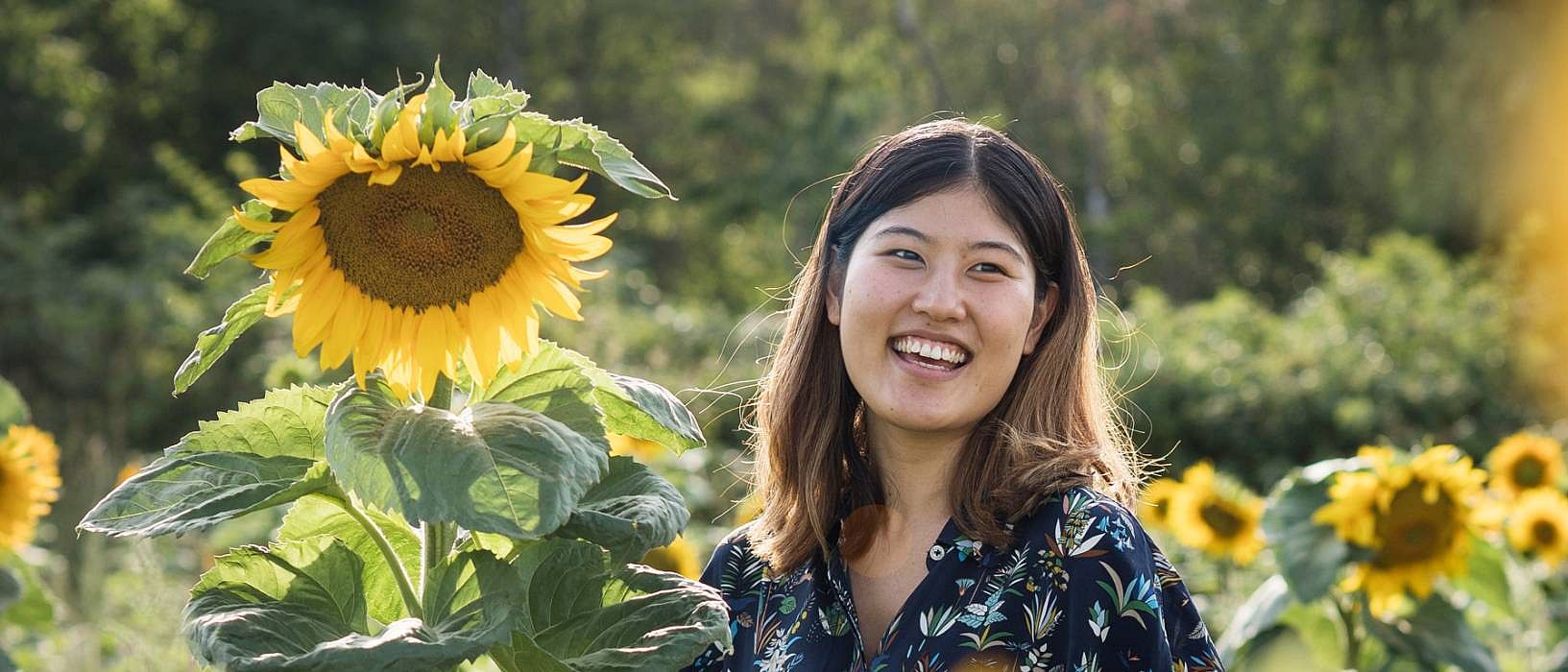 Frau lacht im Sonnenblumen Feld