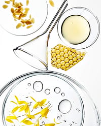 Test tube with leaves