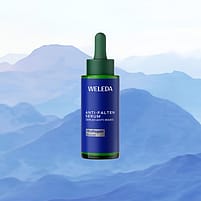 Blue Gentian Blossom