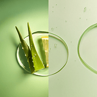 Aloe Vera and hyaluronic acid