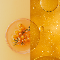 Sea Buckthorn berries and oil