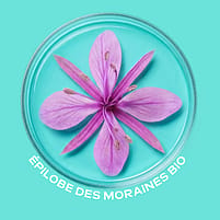 Ingrédient fleur