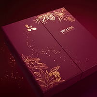Weleda Adventskalender Packshot