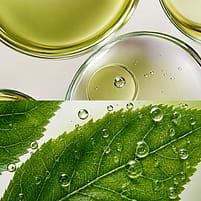 Slow Aging Astaxanthin Serum Drops ingredience