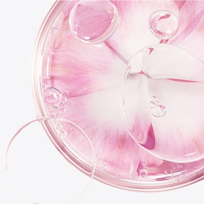 Wildrose und Wasserblasen