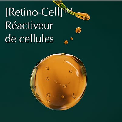 Modele qui applique les produits