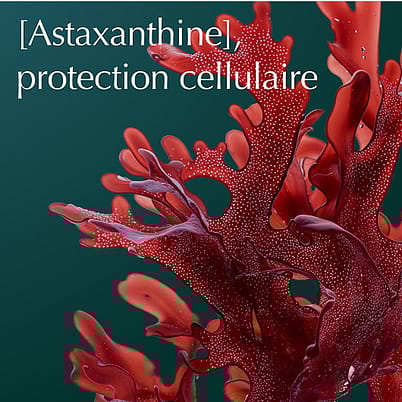 Astaxanthin