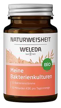 Meine Bakterienkulturen