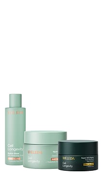 Cell Longevity Perfect Start Day Routine