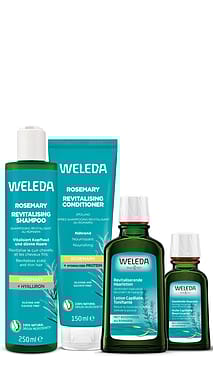 Set Rozemarijn Haarverzorging