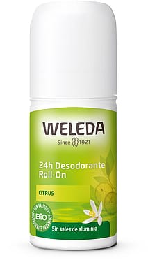 Desodorante Roll-On 24h de Citrus