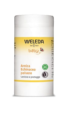 Arnica Echinacea polvere