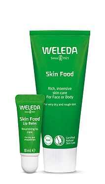 Skin Food and Lip Set