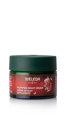 Plumping Night Cream