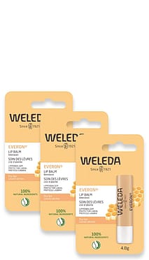 Everon Lip Balm 3 pack.