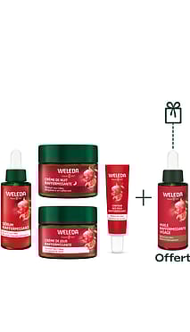 Routine Anti-âge Grenade et Peptides de Maca - Huile offerte