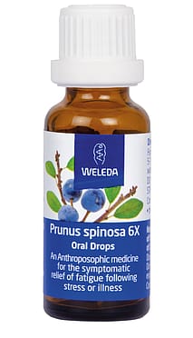 Prunus spinosa 6X Oral Drops