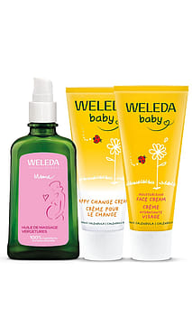 Les Essentiels Maternité