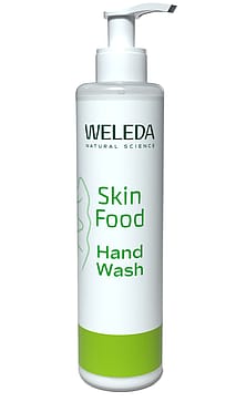 Skin Food Hand Wash