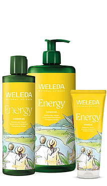 Energy Shower Gel Ingwer