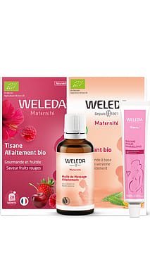 Les Essentiels Allaitement