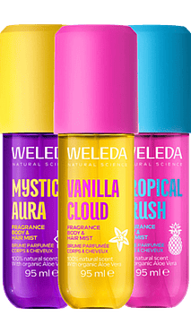 Smells Like Paradise Island Trio Fragrance Body & Hair Mists Bundle