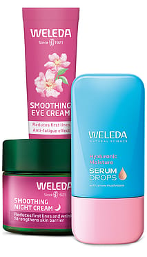 Hydrate + Plump Trio