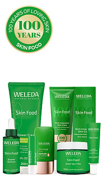 Skin Food 100 Years Bundle